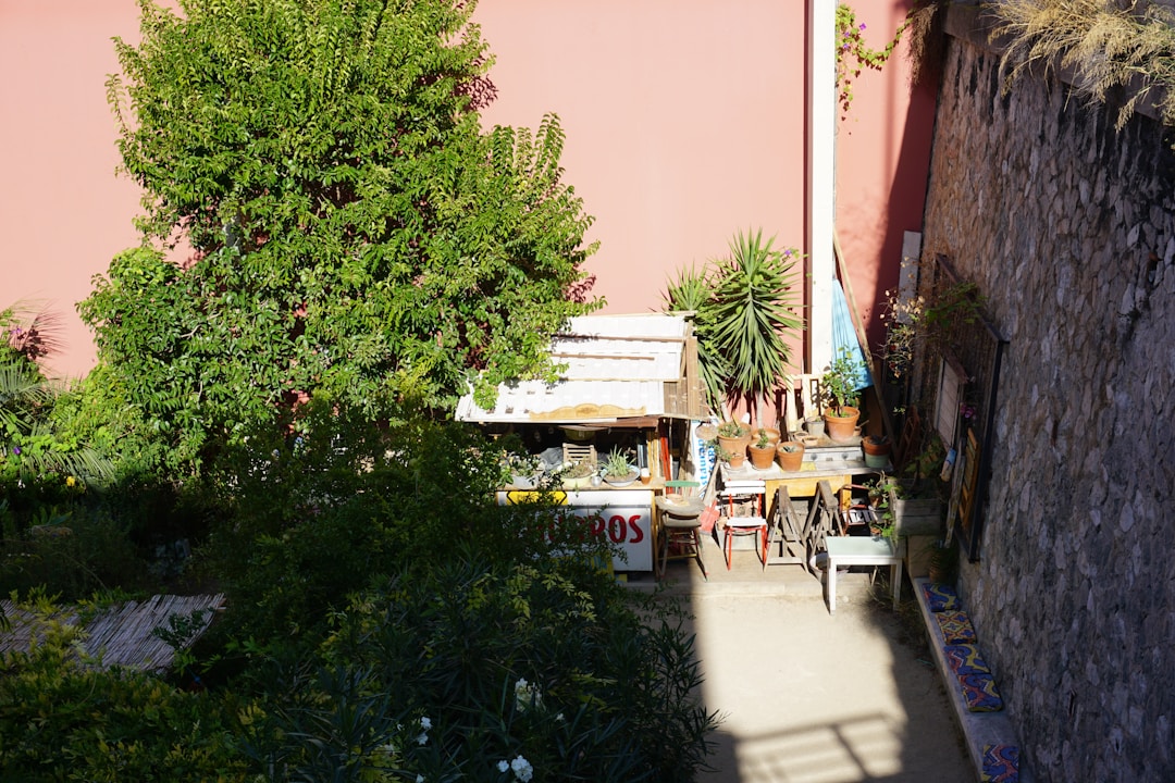 Traiteur Le Soler — grazing table buffet réception jardin Belloria Pyrénées-Orientales